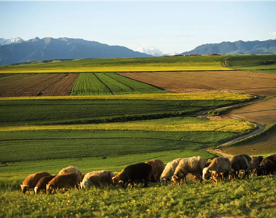 永信贵宾会·217(中国区)官方网站