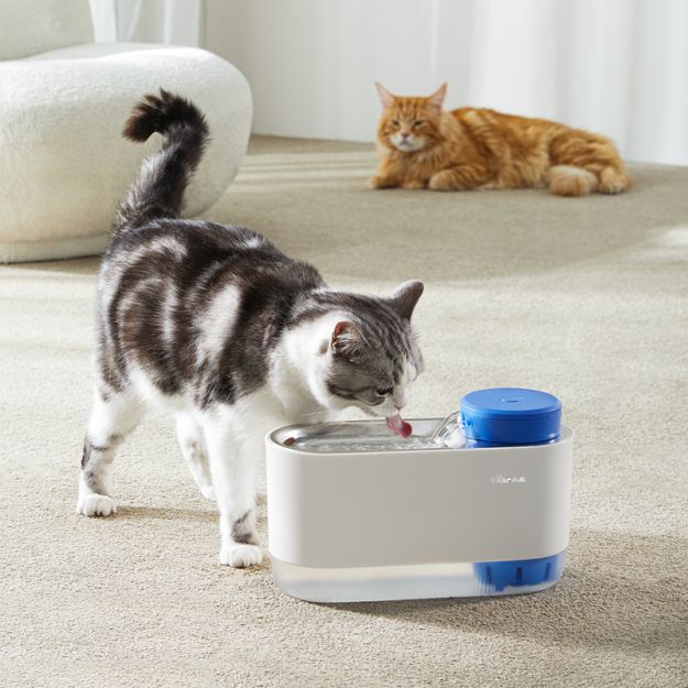 宠物家庭必备小家电，利记宠物饮水机为萌宠提供新鲜活水
